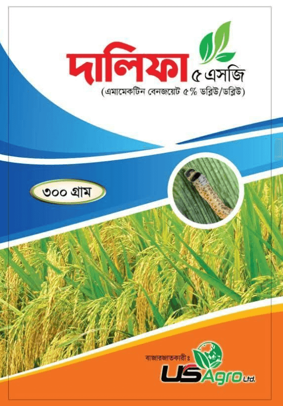 দালিফা ৫ এসজি (Dalifa 5 SG)
